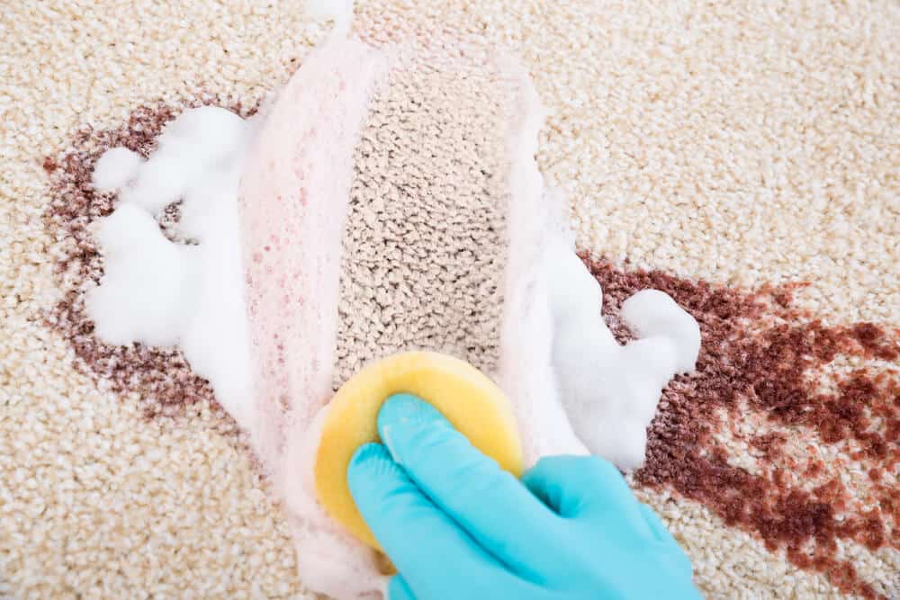 A Guide to Carpet Stain Removal