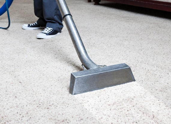 carpet maintenance