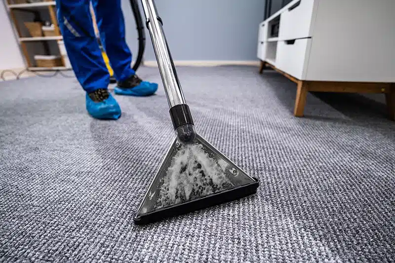 carpet cleaning schedule