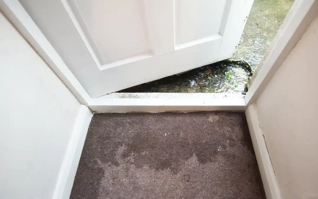How To Treat Flooded Carpet